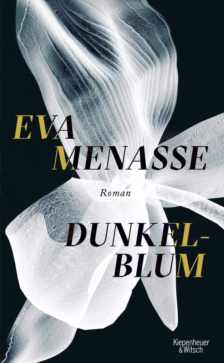 Menasse, Eva: Dunkelblum, 2021